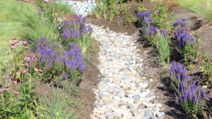 Drainage Solutions in Manassas, VA