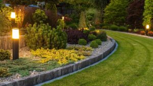 Backyard landscaping Falls Church, VA 