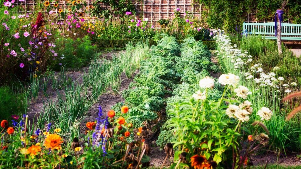 Vegetable Garden and Backyard Design in Northern Virginia