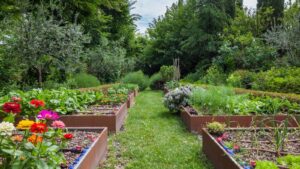 Garden Landscaping in Northern Virginia