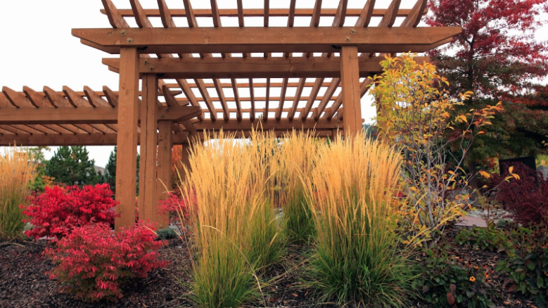 Fall Landscaping Ideas in Louisa County, VA