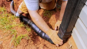 Landscape Company in Northern Virginia